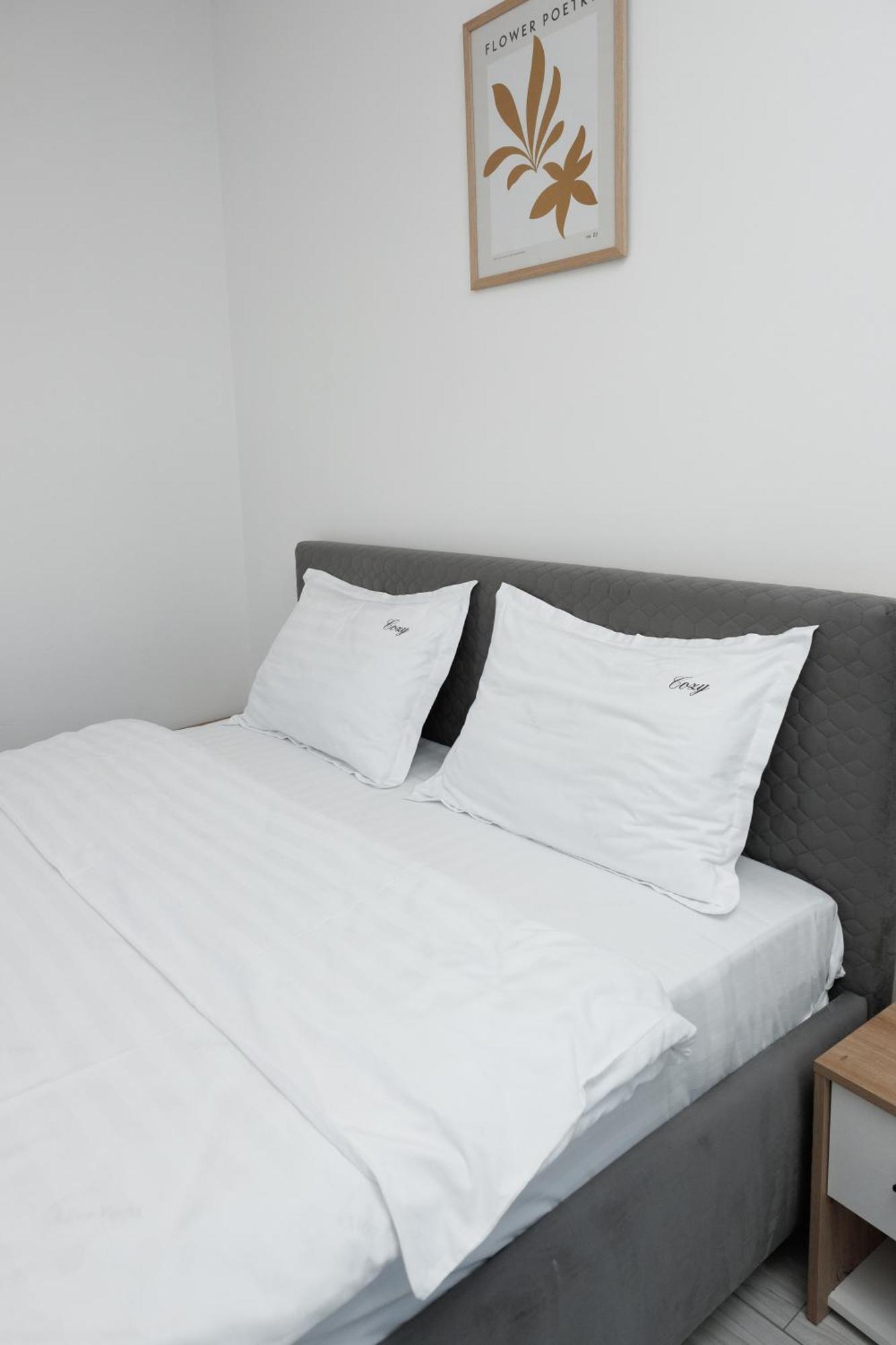 Cozy Aparthotel K 苏恰瓦 外观 照片