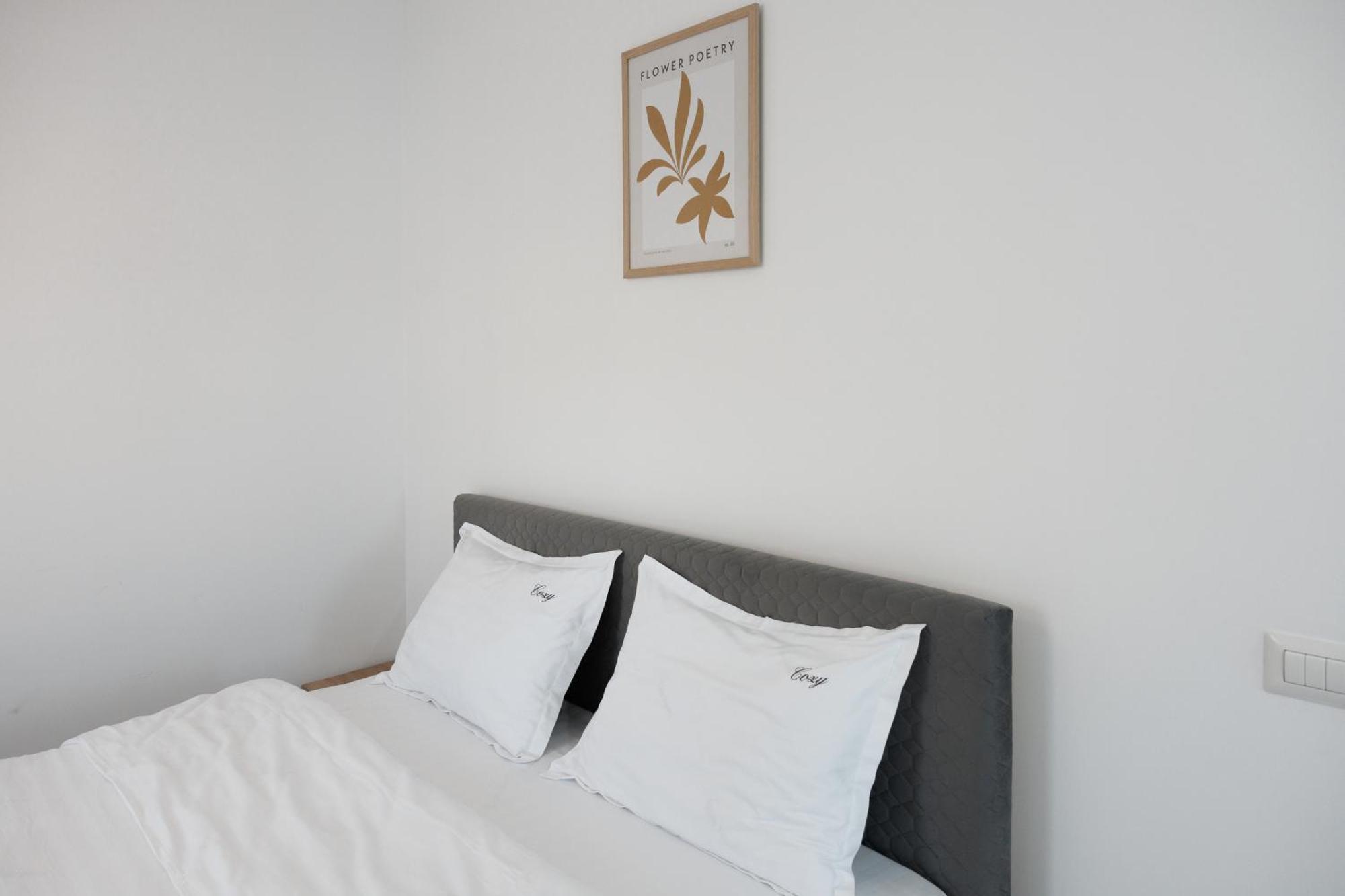Cozy Aparthotel K 苏恰瓦 外观 照片